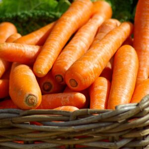carrots, basket, vegetables, market, food, orange vegetables, harvest, produce, fresh, organic, fresh produce, vegetable basket, carrots, carrots, carrots, carrots, carrots, vegetables, vegetables, vegetables, vegetables