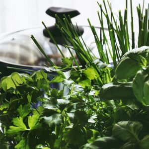 Vibrant fresh herbs in a kitchen setting, showcasing basil, parsley, and chives.