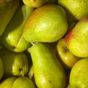 A close-up of fresh green pears showcased under natural sunlight.