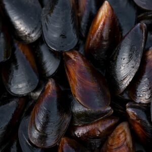 Fresh Mussels