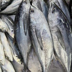 Fresh Sea Bass